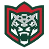 Эмодзи телеграм KHL emoji