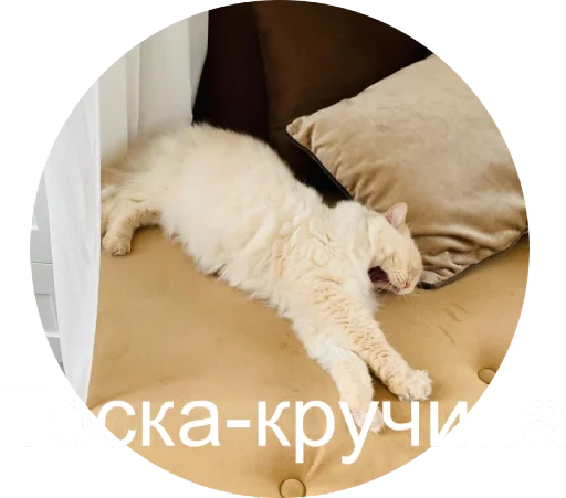 Telegram stiker «Кинкиса» 😩