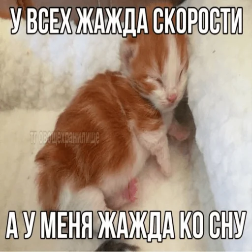 Стикер Telegram «Китики » 😴