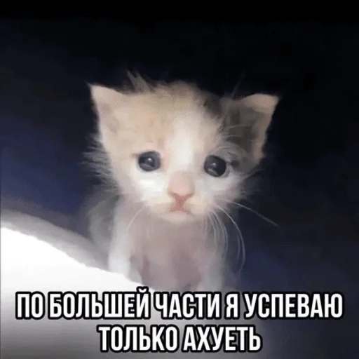 Стикер Telegram «Китики» 😞