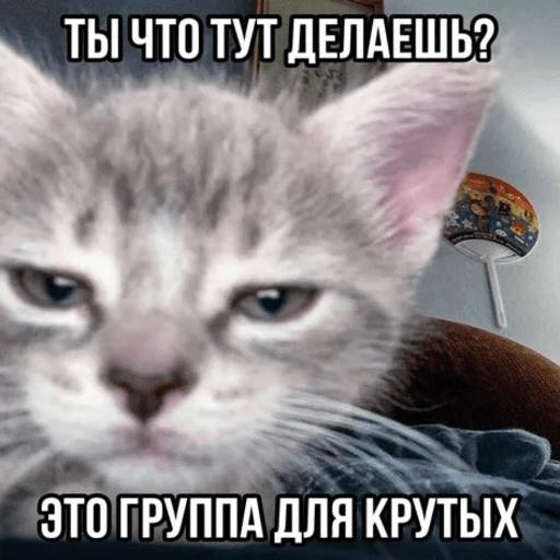 Стикер Telegram «Китики» 🤩