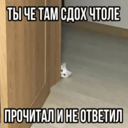 Стікер Telegram «Китики» 😤