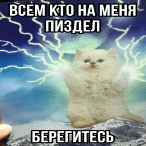 Стікер Telegram «Китики» ⚡️