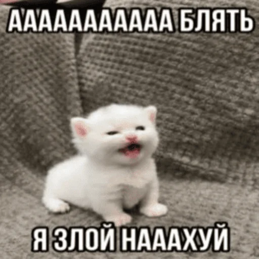 Telegram Sticker «Китики» 👿
