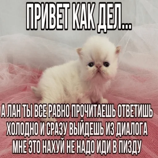 Стикер Telegram «Китики» 😖