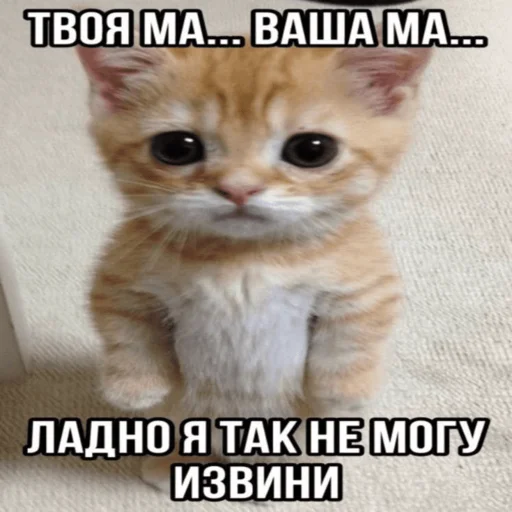 Стикер Telegram «Китики» 🤰