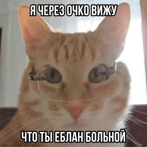 Стикер Telegram «Китики» 🧐