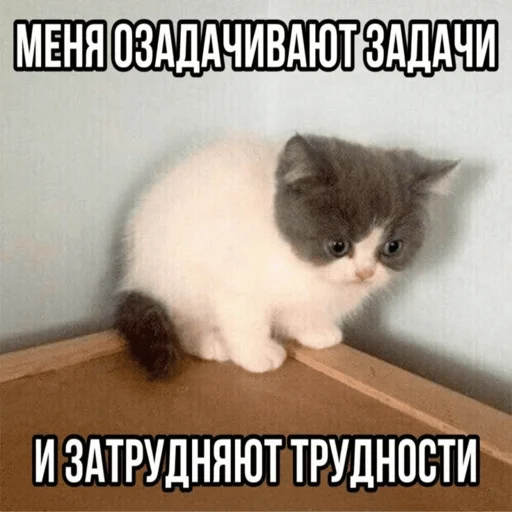 Стикер Telegram «Китики» ⚰️