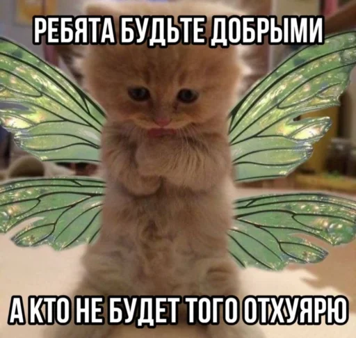 Telegram Sticker «Китики» 😡