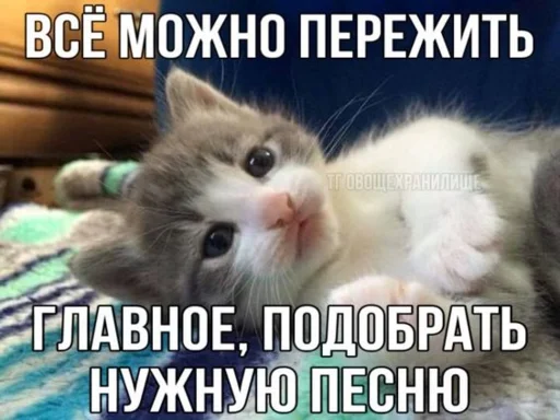Стікер Telegram «Китики» 😪