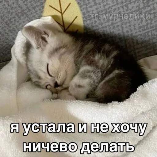 Telegram stiker «Китики» 🙂