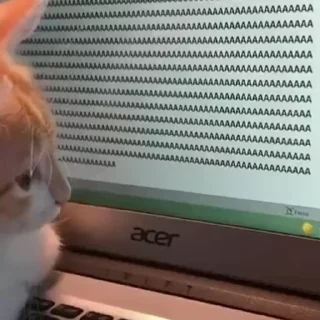 kitten sticks meow emoji 💻
