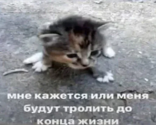Стікер Telegram «Kitties.exe 2» 🥲