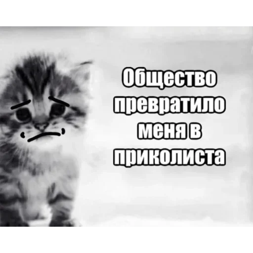 Стікер Telegram «Kitties.exe 2» 🤡