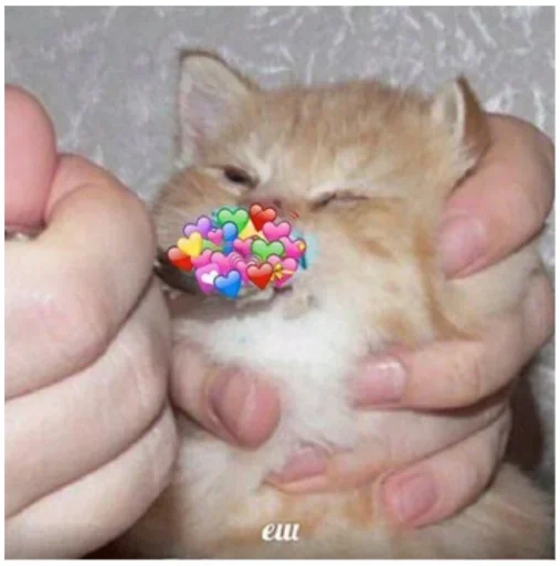 Kitties.exe 2 sticker ❤️