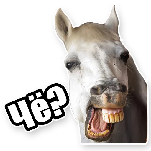 Telegram Sticker «Кони» 😕
