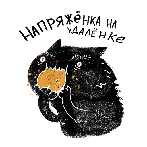 Telegram Sticker «Кот Черныш» 😐