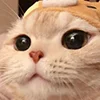 Емодзі Telegram «Кот» 😺