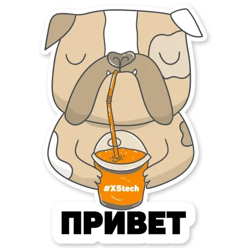 Telegram Sticker «Котик Айтишник» 😉