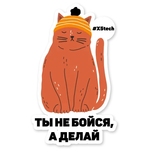 Telegram Sticker «Котик Айтишник» 😏