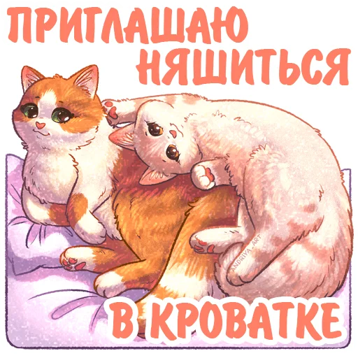 Стікер Telegram «Котики и фразочки» 🛏