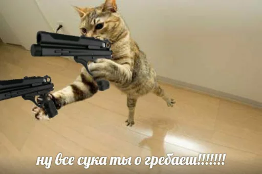 Эмодзи memy pró kotov (po rzhatí) 💥
