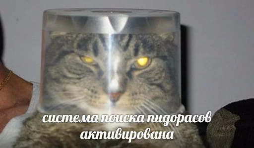 Стикер memy pró kotov (po rzhatí) 😈