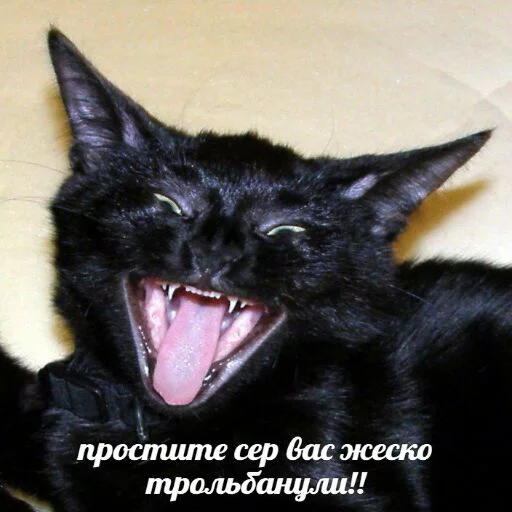 Эмодзи memy pró kotov (po rzhatí) 😂