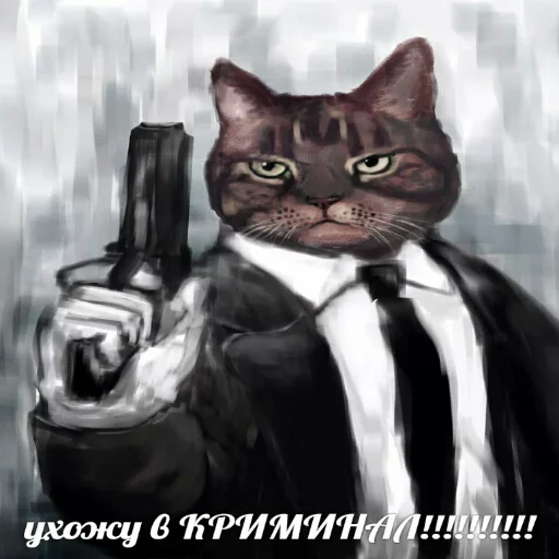 Эмодзи memy pró kotov (po rzhatí) 🔫