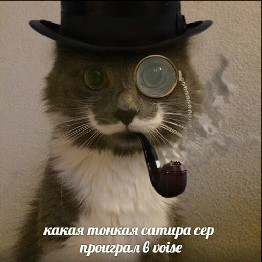 Эмодзи memy pró kotov (po rzhatí) 😅