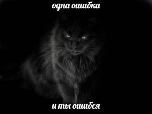 Эмодзи memy pró kotov (po rzhatí) 😌