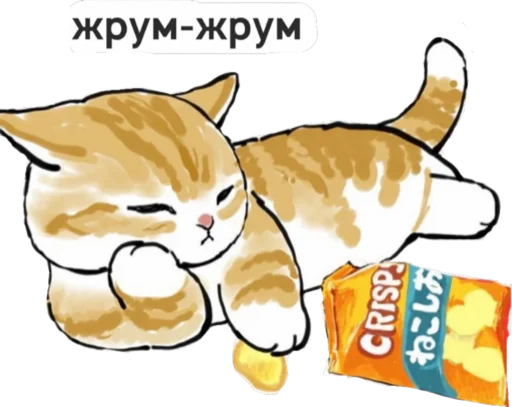 Telegram stiker «котик» 🥞