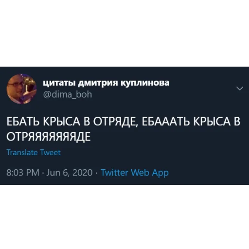 Стікер Telegram «kuplinov_quotes» 🐀