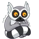 Lemurio emoji 😖