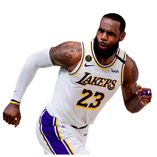 Lakers Nation emoji 🤪