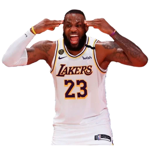 Lakers Nation emoji 🤯