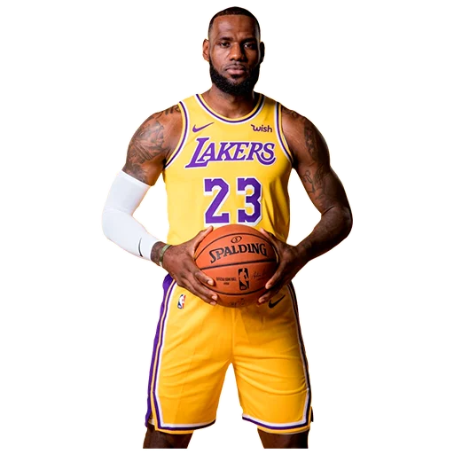 Lakers Nation stiker 👑