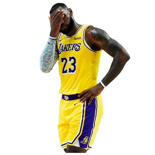 Lakers Nation emoji 🤦‍♂️