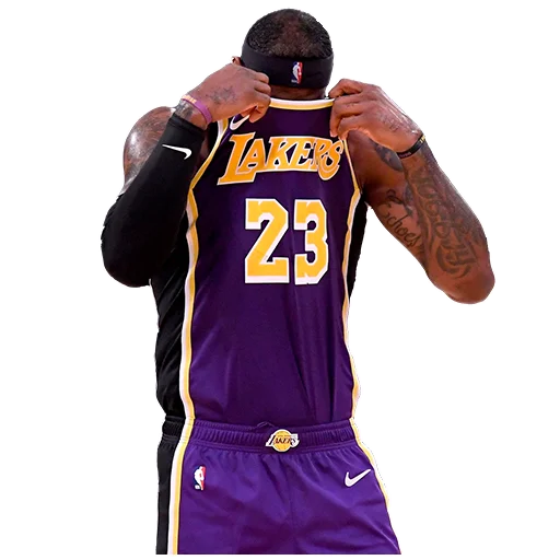 Стикер Lakers Nation 😷