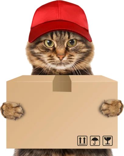 Telegram stiker «Cats» 📦