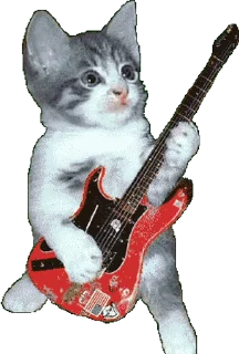 Стікер 😻 Cats… cats everywhere! 🎸