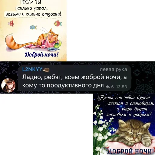 Telegram stiker «Memes» 😴