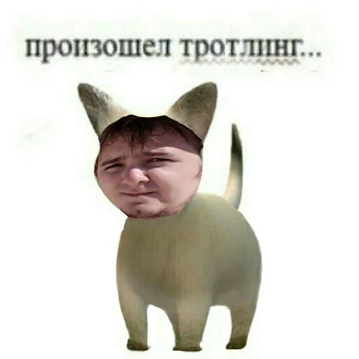 Telegram Sticker «MurkMurkov» 😝