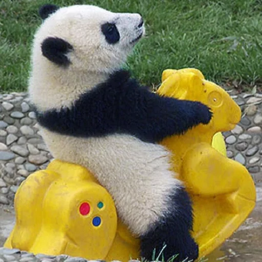 Lazy Panda stiker 👍
