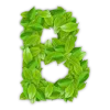 Telegram emoji «Лиственный шрифт» 🔡