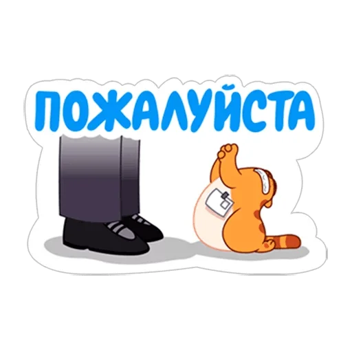 Telegram Sticker «LegCat_macmad» 🙏