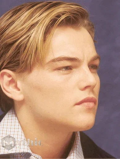 Стікери телеграм Leonardo DiCaprio