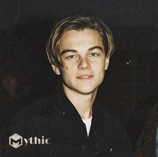 Leonardo DiCaprio  stiker 😗