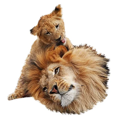 Lion life emoji 👨‍👦