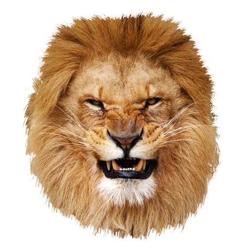 Стикер Lion life 🤬